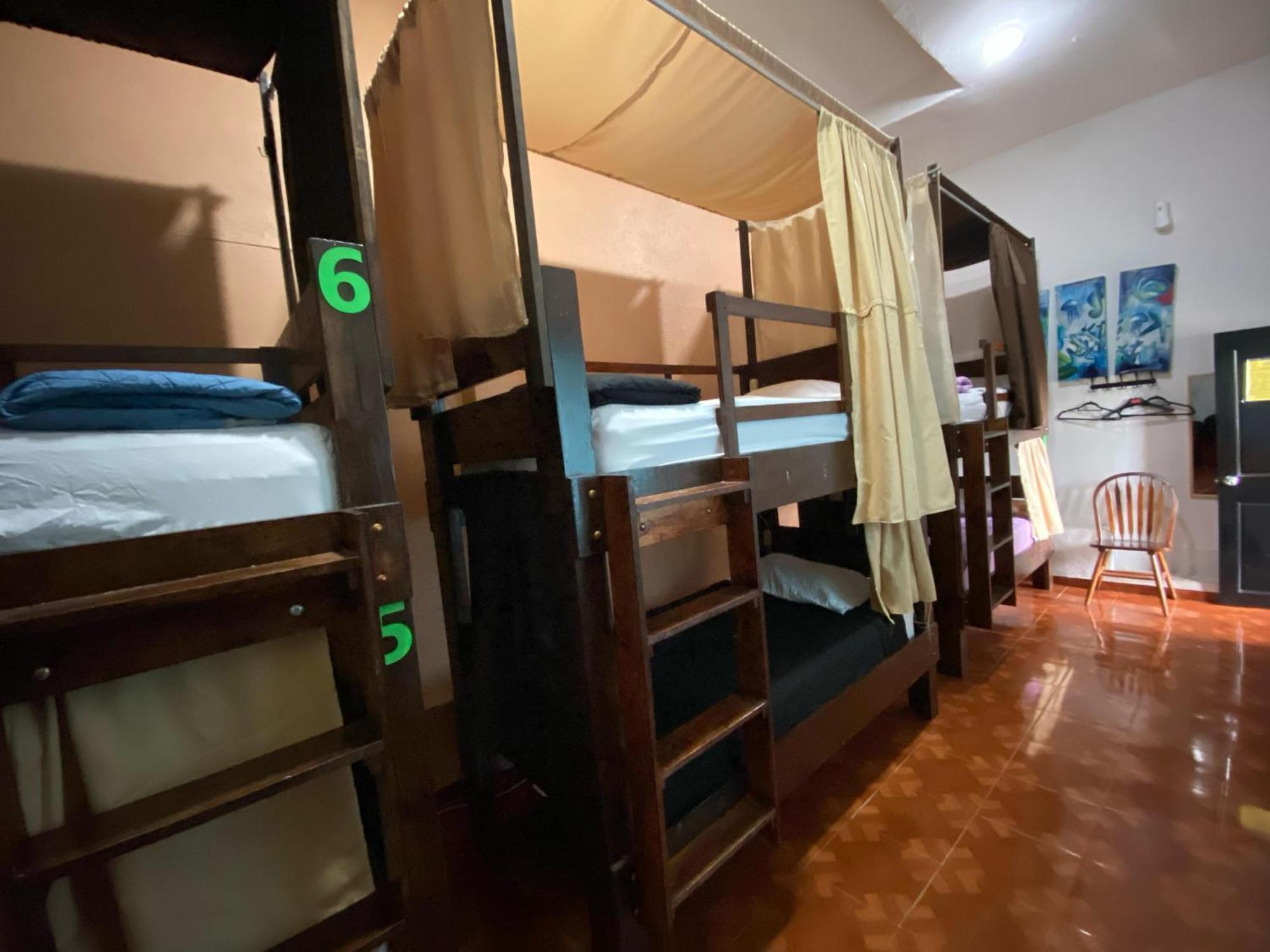 My Family In Monterrey - Hostel Экстерьер фото