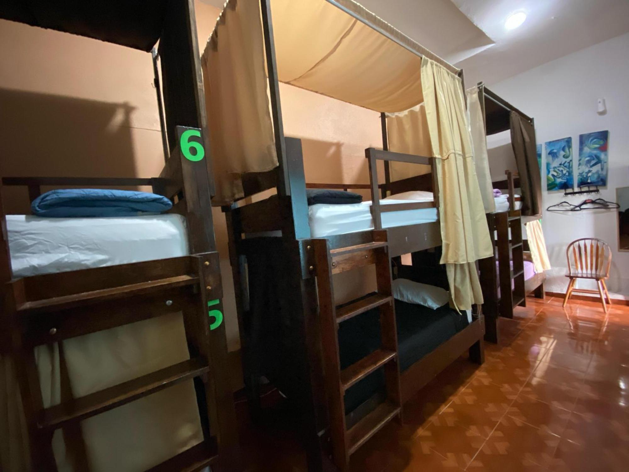 My Family In Monterrey - Hostel Экстерьер фото